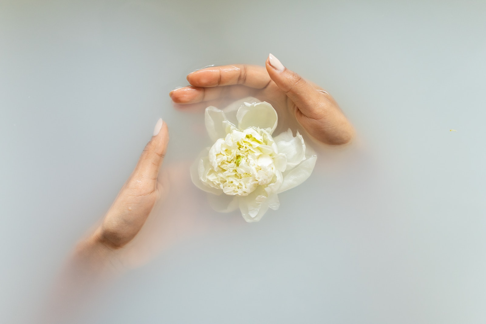 Unrecognizable female with manicured hands holding white flower in hands in soapy water during spa procedures